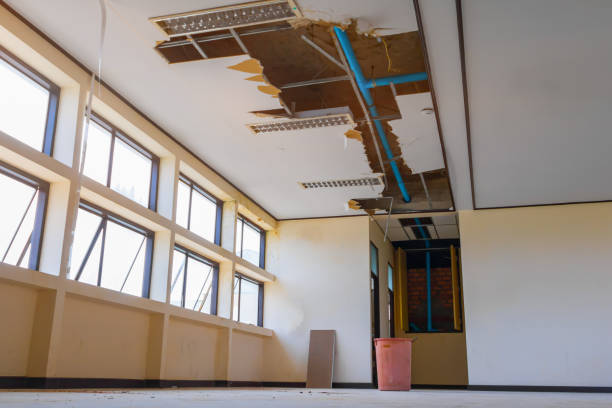 Best Water damage restoration near me  in Pleasant Ridge, MI