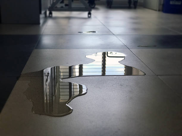 Best Professional water damage repair  in Pleasant Ridge, MI