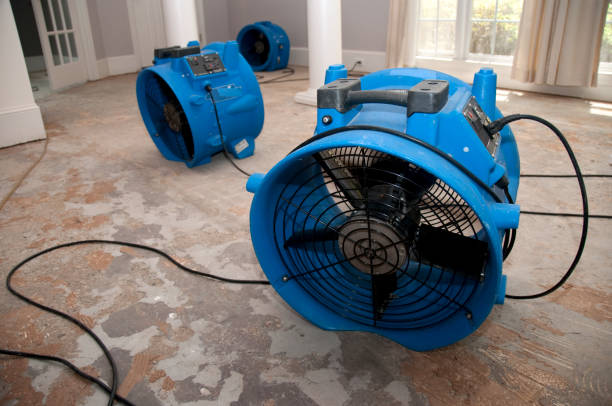 Best Commercial water damage restoration  in Pleasant Ridge, MI
