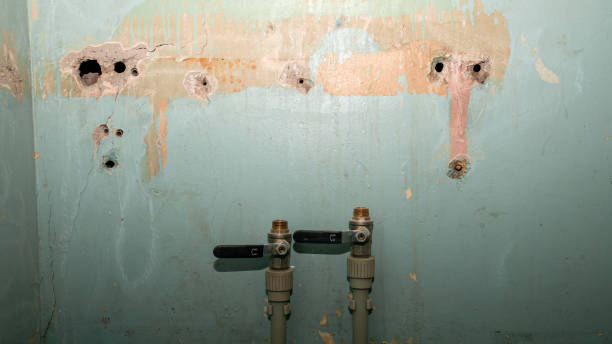 Best Ceiling water damage repair  in Pleasant Ridge, MI