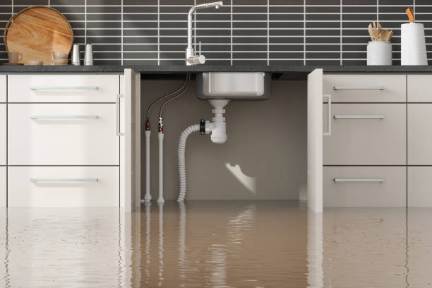 Best Water damage restoration services  in Pleasant Ridge, MI