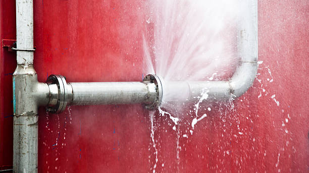 Best Flood restoration services  in Pleasant Ridge, MI